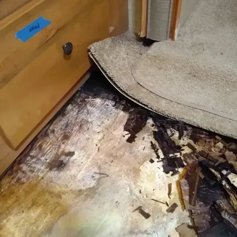 Wood Floor Water Damage in Delanco, NJ